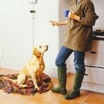 Expert Animaux  - EDUCATION CANINE COMPORTEMENTALISTE